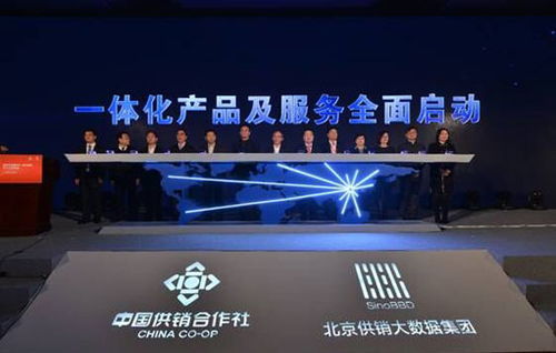 智慧協(xié)同，數(shù)據(jù)賦能——大數(shù)據(jù)服務(wù)助推北京“四個中心”建設(shè)